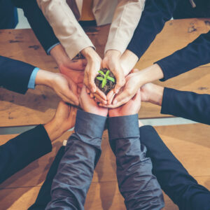 📁 Gestión Ambiental (Gratis - Online)