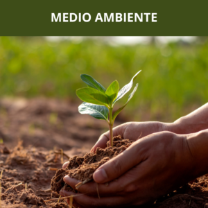 ⌨️ Operaciones Auxiliares de Servicios Administrativos y Generales (Gratis - Nivel 1)